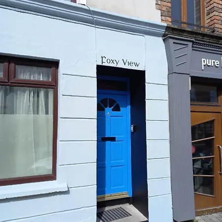 Foxy View In Town! Dingle