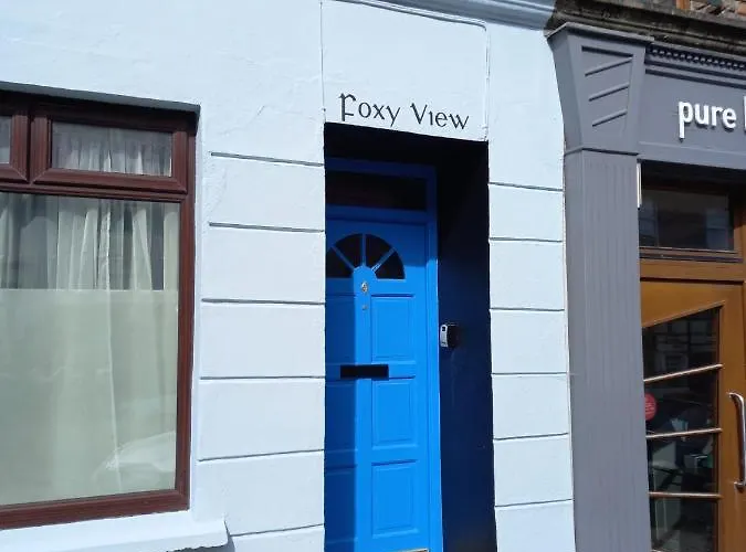 Foxy View In Town! Dingle