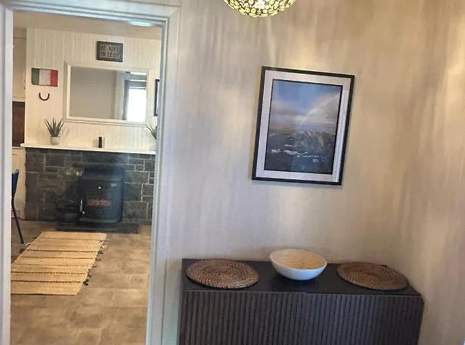 Foxy View In Town! Дингл